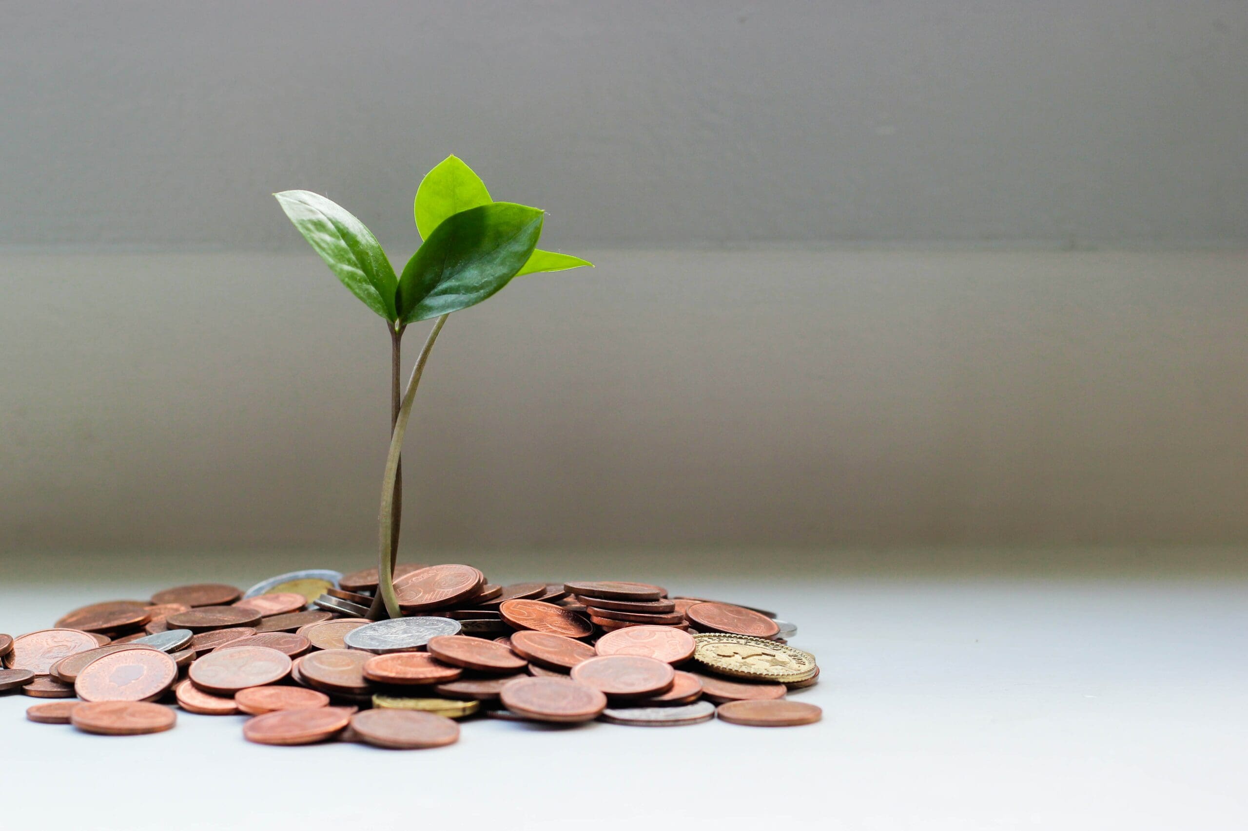 Our (unexited) startup portfolio – what the valuations say Featured Image
